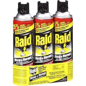 raid-wasp