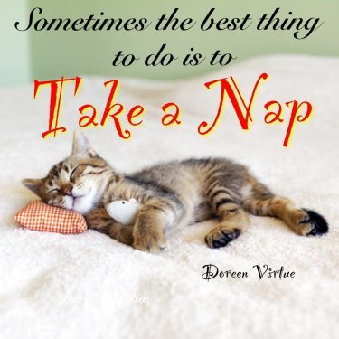 take-a-nap